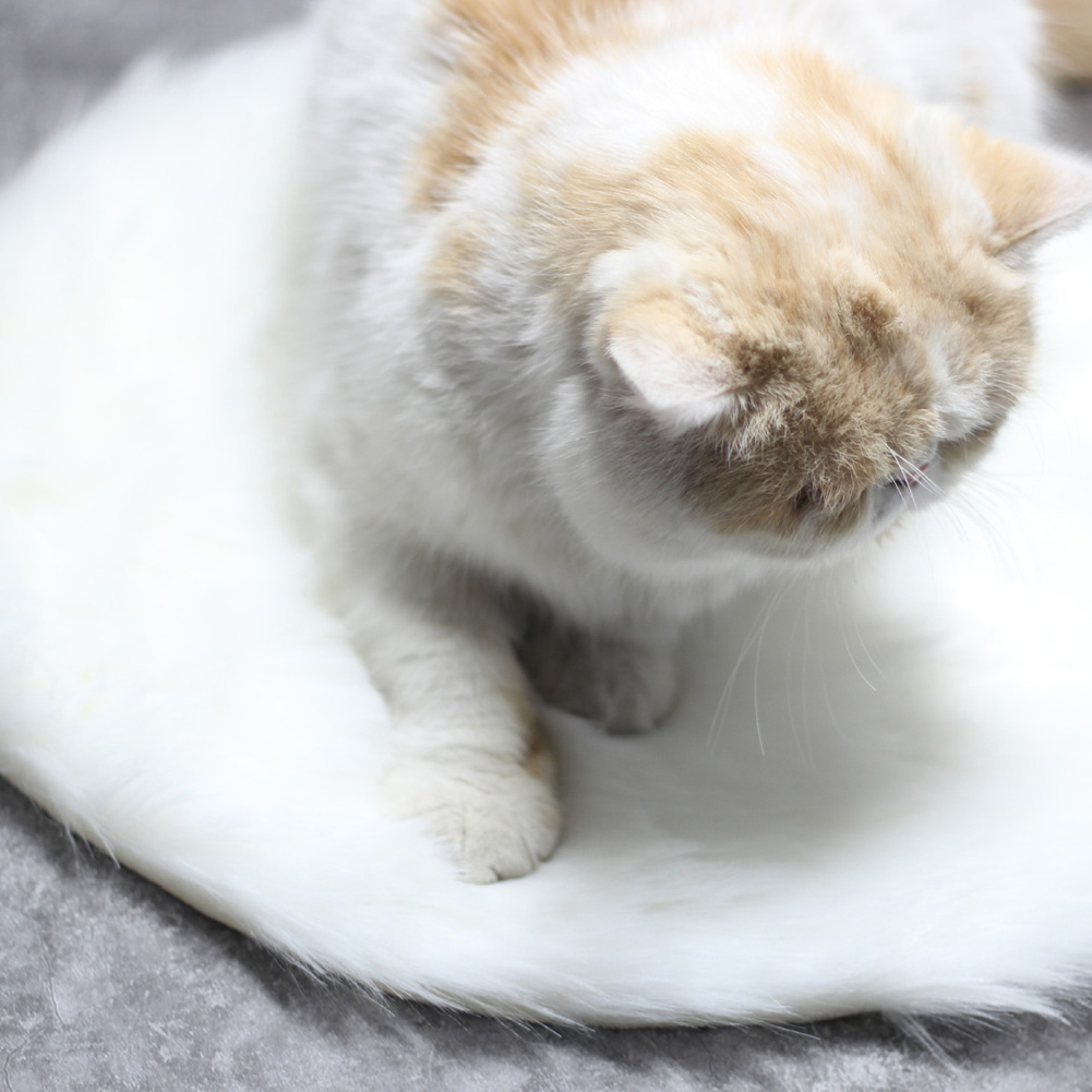 Pet Heating Pad, Soft Plush Anticreeping Cat Electric Blanket, For Cat