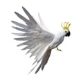 thumbnail image 4 of Pájaro Artificiale Adorno Decorativo para , Jardín, Fotografía, de de Navidad, Decoración de Jardín , 15.7 pulgadas perfecl Pájaro artificial, 4 of 4