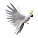 thumbnail image 4 of de 2 Adornos de árbol de Decoración para hogar de Jardín Re sta de Pájaro Artificial perfecl Taxidermia Realista de Aves, 4 of 8