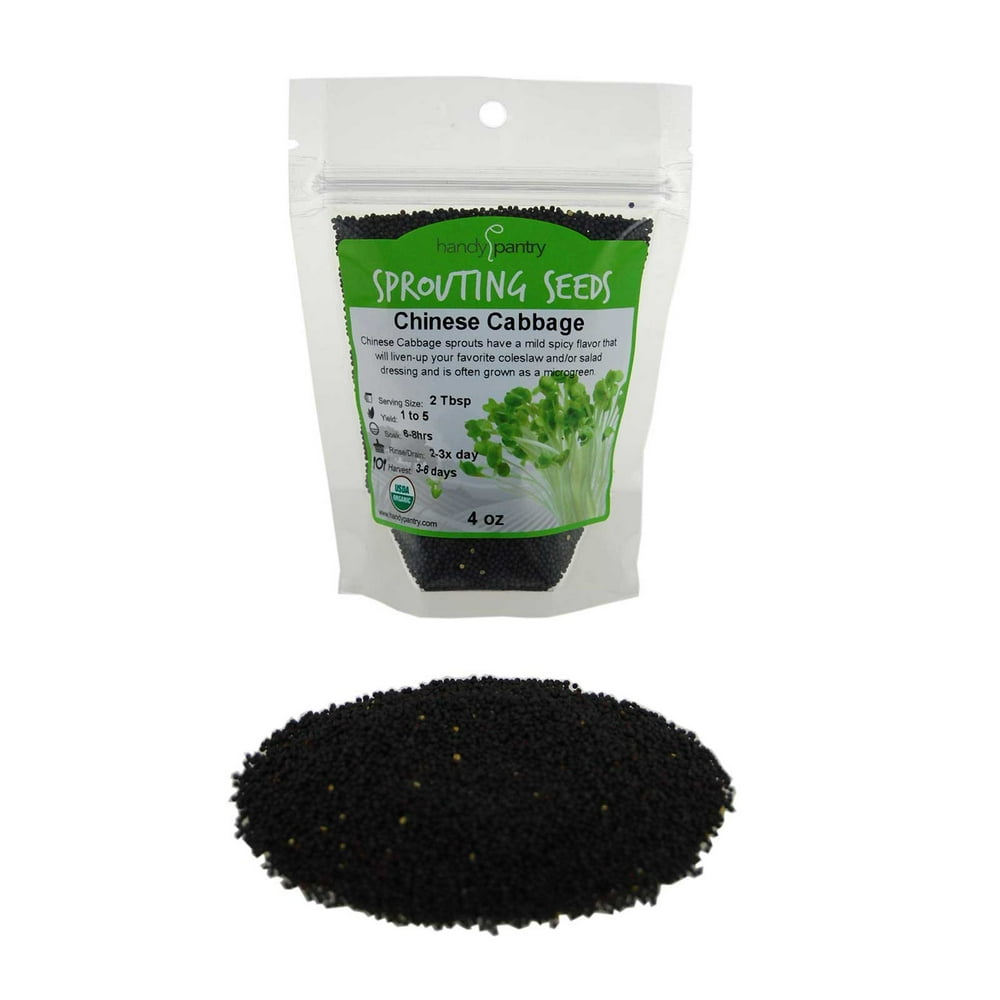 Chinese Cabbage Sprouting Seed 1/4 Lbs (4 Oz.) Perfect for Edible