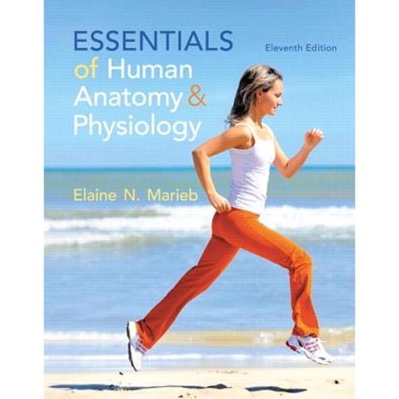 Pre-Owned Essentials of Human Anatomy & Physiology Plus Masteringa&p with Etext -- Access Card Package (Paperback) by Elaine N Marieb
