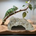 thumbnail image 1 of Accesorios para Terrarios de Dragones Barbudos, Cueva-escondite para Reptiles, Decoración para Acuarios, Refugio de Roca de PVC para Dragones Barbudos, 1 of 8