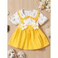 thumbnail image 2 of Bagilaanoe Newborn Baby Girl Summer Dress Short Sleeve A-line Dresses 6M 12M 18M 24M Infant Floral Print Casual Swing Sundress, 2 of 9