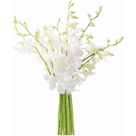 KaBloom : 10 White Dendrobium Orchids, Next-Day Delivery, Gift for Every Occasion.
