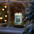 thumbnail image 2 of Yankee Candle® Large 2-Wick Tumbler Candle, Alpine Mint, 2 of 3
