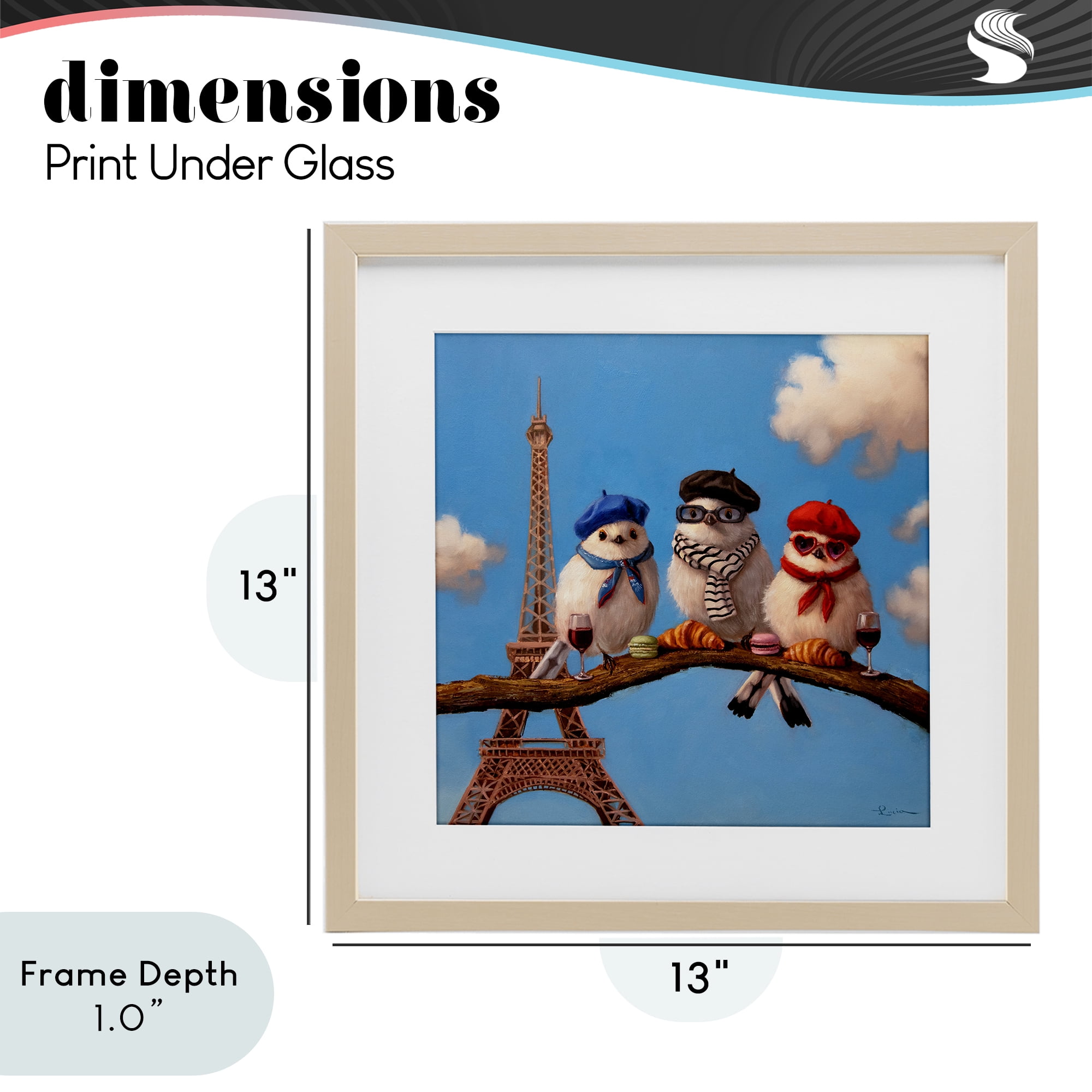 Stupell Industries Parisian Chic Birds in Paris Birch Framed Print Under Glass, design by Lucia Heffernan