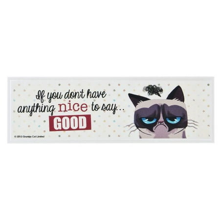 - If You Don't Have Anything Nice To Say - Grumpy Cat Desk Sign by Ganz