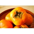 thumbnail image 2 of 5 JAPANESE PERSIMMON Tree Asian Diospyros Kaki Orange Red Fruit Flower Seeds, 2 of 10
