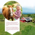 thumbnail image 4 of DR. BAILEY'S Miracle Animal Cream - 2 OZ Hot Spot Treatment for Dogs, One Stop Cream for All Topical Needs from Ear to Paw - Skin Irritation/Wound Relief Treatment for Dog Cat Horse Pig Goat & More, 4 of 7