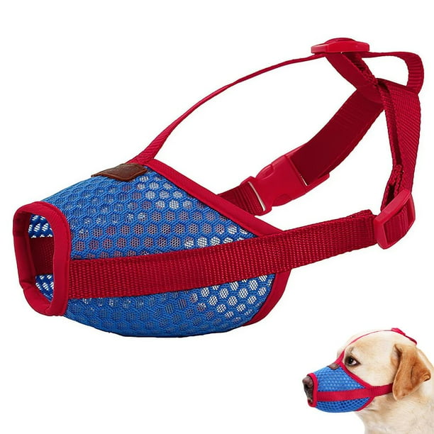Muzzle a dog top to stop barking