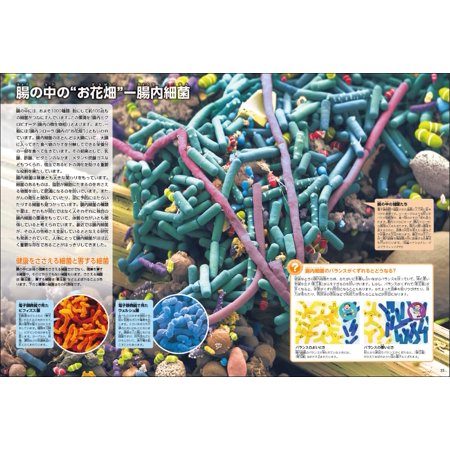 『人体　新版　学研の図鑑LIVE（ライブ）　7』講談社　小林快次（講談社）