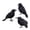 Set of 3, variant on Halloween Black Artificial Feather Crow Figurine Set Of 3, Spooky‑Style Decorative Ornament, Holiday Accent For Shelf, Mantel And Indoor Halloween Home Decoration