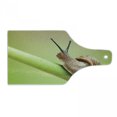 thumbnail image 1 of Snail Cutting Board, Common Garden Animal on Stem of Plant Nature Eco Environmental Picture, Decorative Tempered Glass Cutting and Serving Board, in 3 Sizes, by Ambesonne, 1 of 2