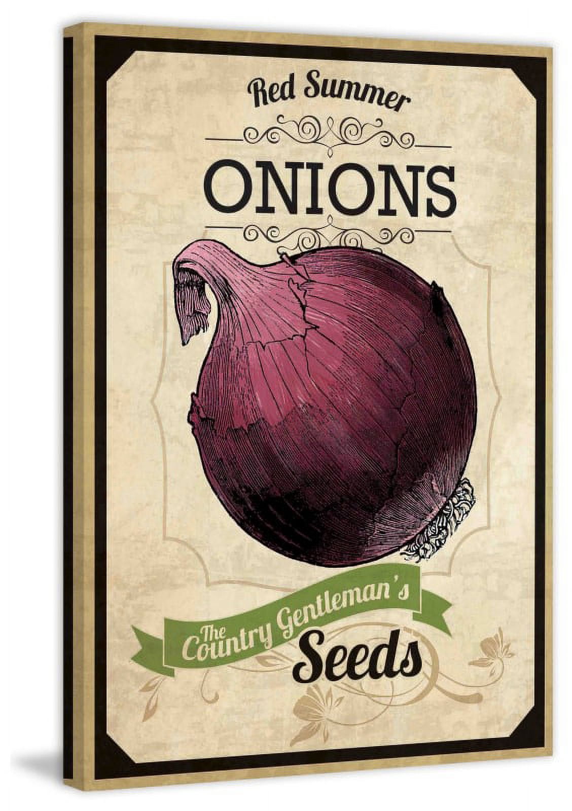 Marmont Hill "Seed Packet Onion" Painting Print on Canvas