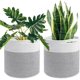 thumbnail image 1 of Cesta para plantas Paquete de 2 Cesta tejida con cuerda Maceta Cestas de almacenamiento multifuncionales de yute resistente con mano conveniente,11 Feliz Sencillez, 1 of 5