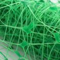 thumbnail image 3 of Plastic Heavy Duty Garden Trellis Netting Vegetables(2 X 10m, Green), 3 of 5