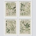 thumbnail image 2 of PixonSign Framed Wall Art Green Leaves Variety Posters, Set of 4 Nature Wilderness Renaissance Botanical Illustrations Wall Decor, Adhesive Canvas Prints for Home Decor - 11"x14" White, 2 of 5