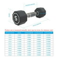 thumbnail image 5 of 5LB ×2 pieces per package apollo Dumbbell for both and home usage High-end Coated Octagon Dumbbell Black Chrome, 5 of 7