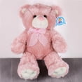 thumbnail image 3 of PELUCHERIA| Oso de Peluche Premium Rosa, 3 of 4