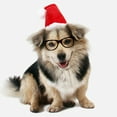 thumbnail image 4 of Christmas Pet Hat Santa Claus Red Cute Cat Dog Costume Accessory Holiday Outfit, 4 of 10