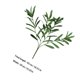 thumbnail image 2 of FOMIYES 3Ud Ramas De Decorativas Para Manualidades Y De En Verde, 2 of 7