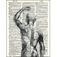 thumbnail image 2 of Anatomical Muscles - Dictionary Art Print Printed On Authentic Vintage Dictionary Book Page - 8 x 10.5, 2 of 3