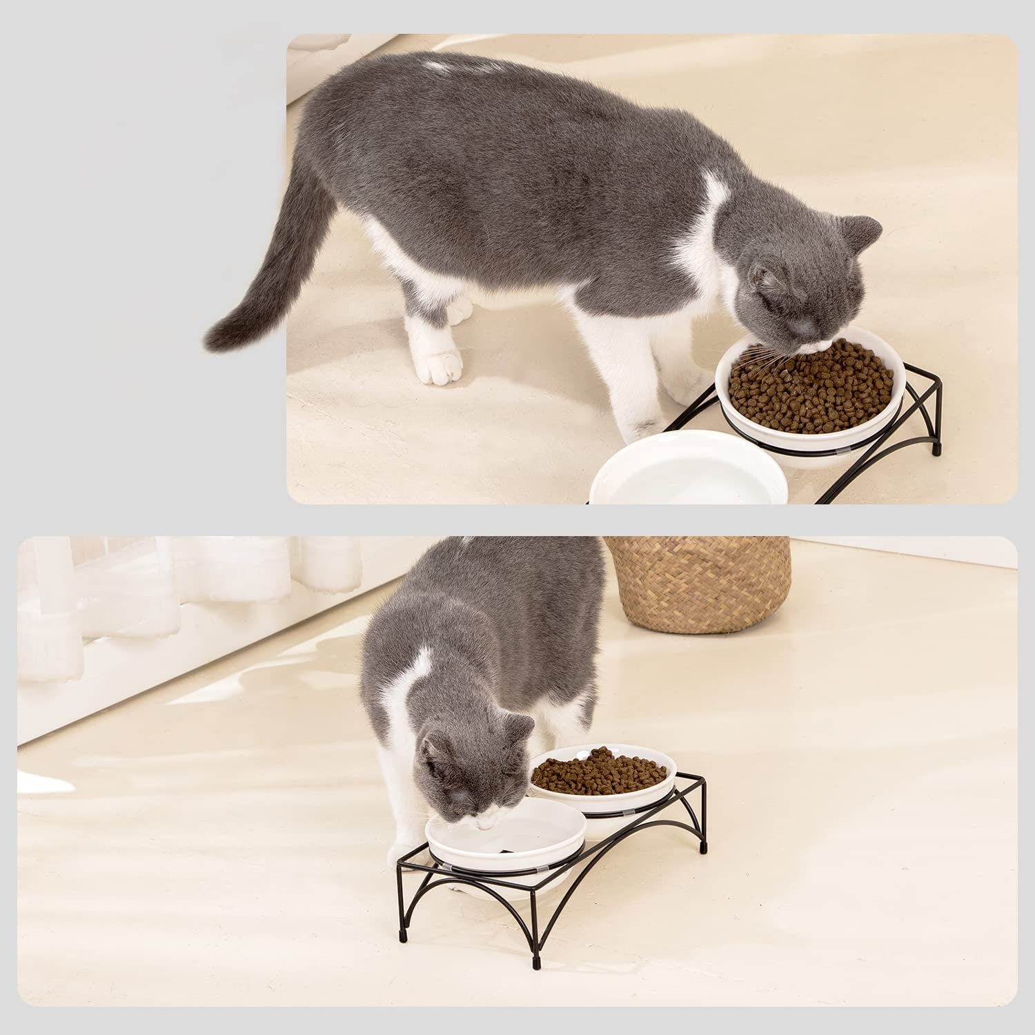 Elevated Cat Bowls by Pawfect Pets- 4” Raised Cat Bowl. Cat Feeder Comes  with Four Stainless Steel Cat Bowls. Cat Food Bowl - Yahoo Shopping