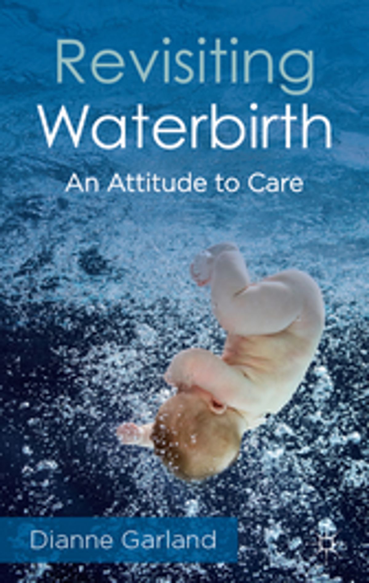Revisiting Waterbirth - eBook - Walmart.com - Walmart.com