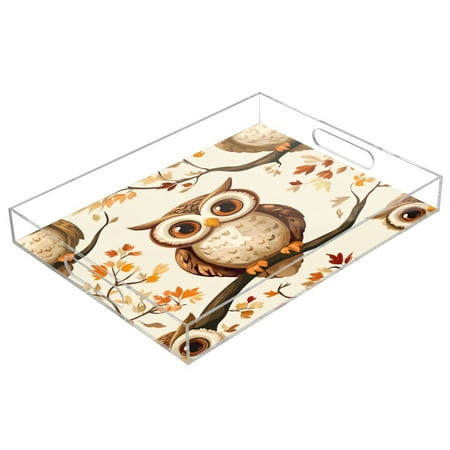 Acrylic Tray 15.7*11.8*1.9 Inch Transparent Tray Food Tray Tea Cup Tray Serving Trays Cosmetics Storage Kitchen Table Bathroom Sundry Storage Big-eyed Owl
