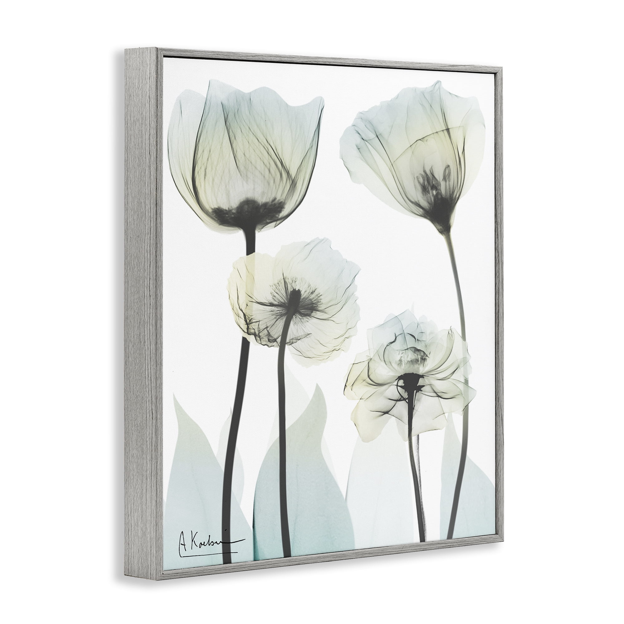 Stupell Industries Floral Luxury Of Creation Gray Framed Giclee Art, design by Albert Koetsier