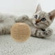 thumbnail image 3 of Juguete interactivo para gatos de interior, Bola de cuerda de Sisal con agujeros para rascar y masticar, suministros para mascotas, gatitos y gatos, 3 of 5