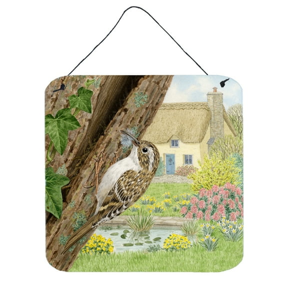 Treecreeper by Sarah Adams Wall or Door Hanging Prints