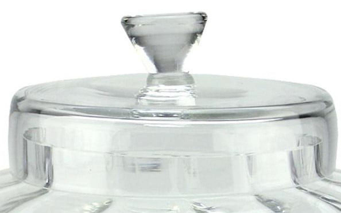 11" Transparent Segmented Glass Container with Lid