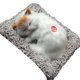 thumbnail image 2 of Gwong Juguete Muestra de exhibición Molde Durmiendo diseño de gato purificador de aire de plástico de dibujos animados de dibujos animados modelo animal para coche Gwong 30010050, 2 of 6