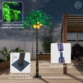 thumbnail image 4 of Lightshare Upgraded Lighted 9FT Artificial Lighted Palm Tree, 368 LED Lights, Decoration for Home,Party, Christmas, Nativity, Outside Patio, 4 of 4