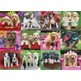 thumbnail image 1 of Rompecabezas Ravensburger Puppy Pals de 500 piezas para adultos, 1 of 9