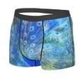 thumbnail image 2 of Junzan Peacock Mens Underwear Boxer Briefs For Men’s - Small, 2 of 9