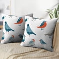 thumbnail image 3 of LALILO Throw Pillow Covers Colorful Doodle Bird Collection Funny Cushion Cover 18" x 18", 2 Pack, 3 of 6