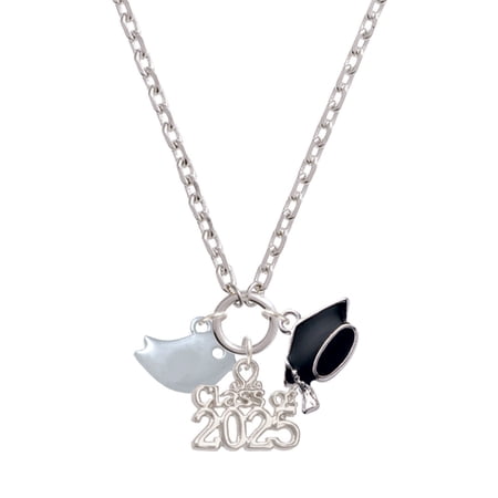 Delight Jewelry Silver-tone Little Bird - Silver-tone Class of 2025 Graduation Zoey Necklace, 28"