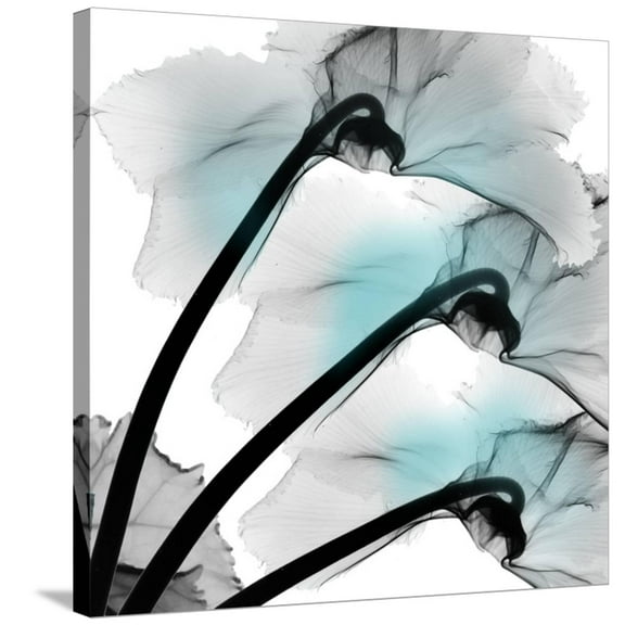 Art.com Teal Luster Cyclamen Stretched Canvas Print Wall Art by Albert Koetsier, 30" x 30"