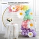 thumbnail image 1 of Guirnalda Decorativa De Globos Margarita Colorida Panel decorativo, 1 of 4