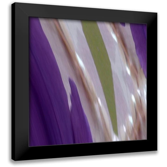 Studio96 12x12 Black Modern Framed Museum Art Print Titled - Botanical F
