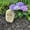 8"H Natural Stone, variant on Stone Age Creations 12 in Hand Carved Boulder Stone Owl Garden Statue