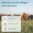 thumbnail image 3 of Igennus Highest Grade Hydrolyzed Collagen Peptides, Clean Label, 100% Grass Fed Bovine Collagen Protein Powder, Collagen Types 1, 2 & 3 for Women & Men, Non-GMO, Free Range, 40 Servings, 3 of 11