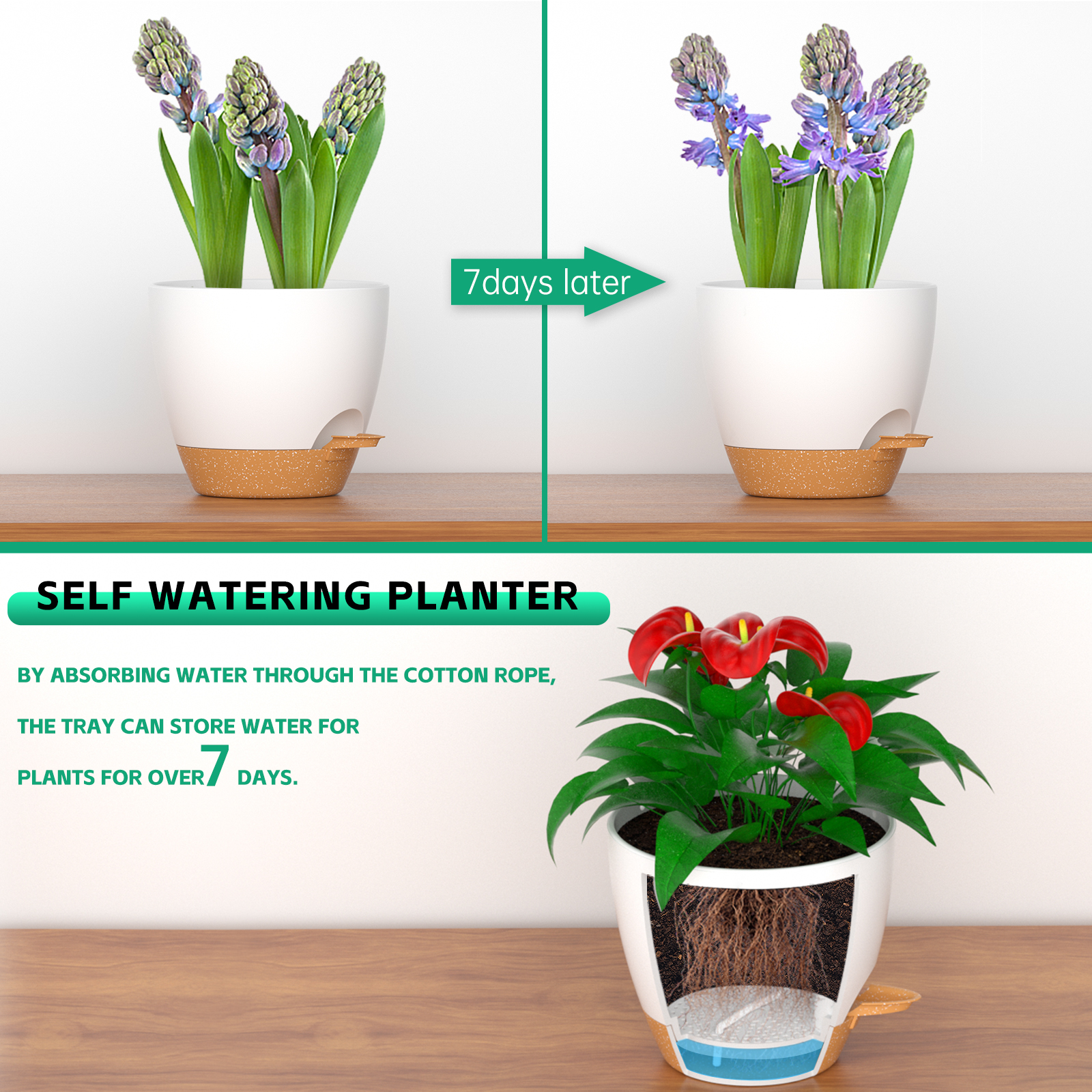 Fiason Self-Watering Plant Pots, 6-Pack photo 7