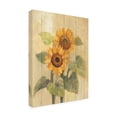 thumbnail image 3 of Albena Hristova 'Summer Sunflowers I On Barn Board' Outdoor Canvas 32x16, 3 of 5