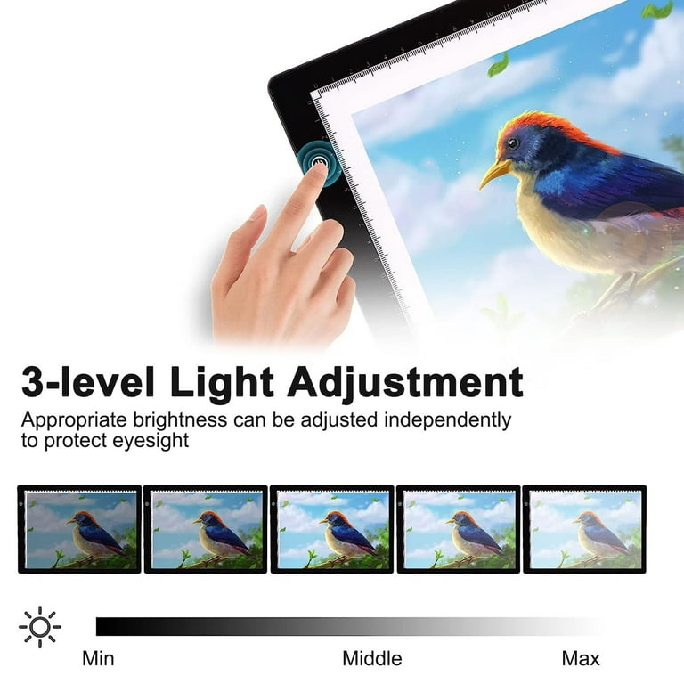 Adjustable Brightness A4 A3 LED Light Pad Tracing Light Box for Kids  Drawing - China Tracing Light Box and Light Pad A4 price