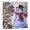color 6, variant on Christmas Shower Curtain, Christmas Greeting with Snowman Near Fence and Bullfinches on Branches Tree Shower Curtain for Bathroom