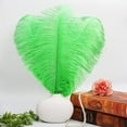 thumbnail image 3 of XmhyTop Plumas de avestruz naranjas, 12 unidades, grandes, naturales, a granel, 12-14 pulgadas, 30-35 cm, para centros de mesa de bodas, fiestas, Pascuas, Gatsby y decoración del hogar, 3 of 4