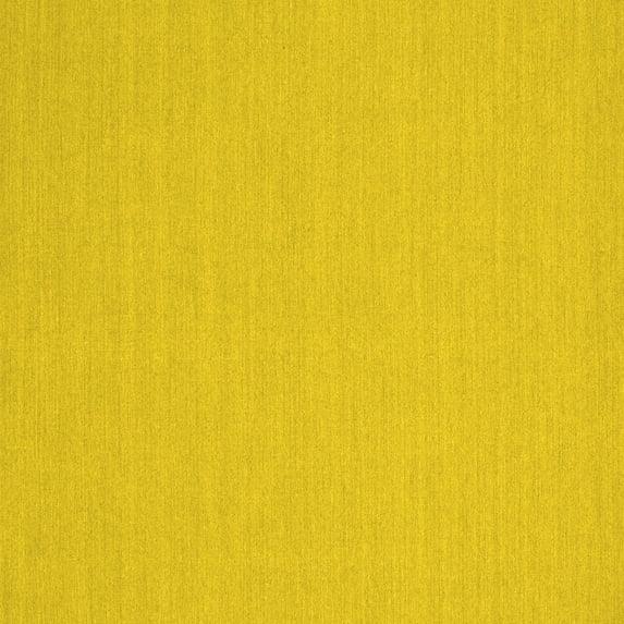 Ahgly Company Machine Washable Indoor Square Solid Yellow Modern Area Rugs, 5' Square